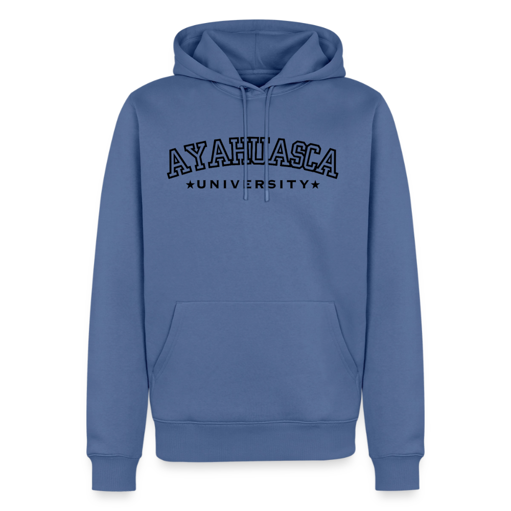 Ayahuasca University Hoodie - stone blue 
