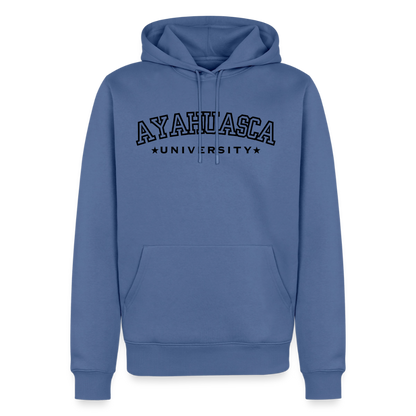 Ayahuasca University Hoodie - stone blue 