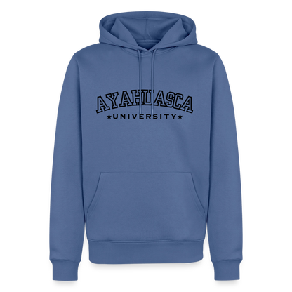 Ayahuasca University Hoodie - stone blue 