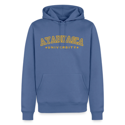 Ayahuasca University GOLD - stone blue 